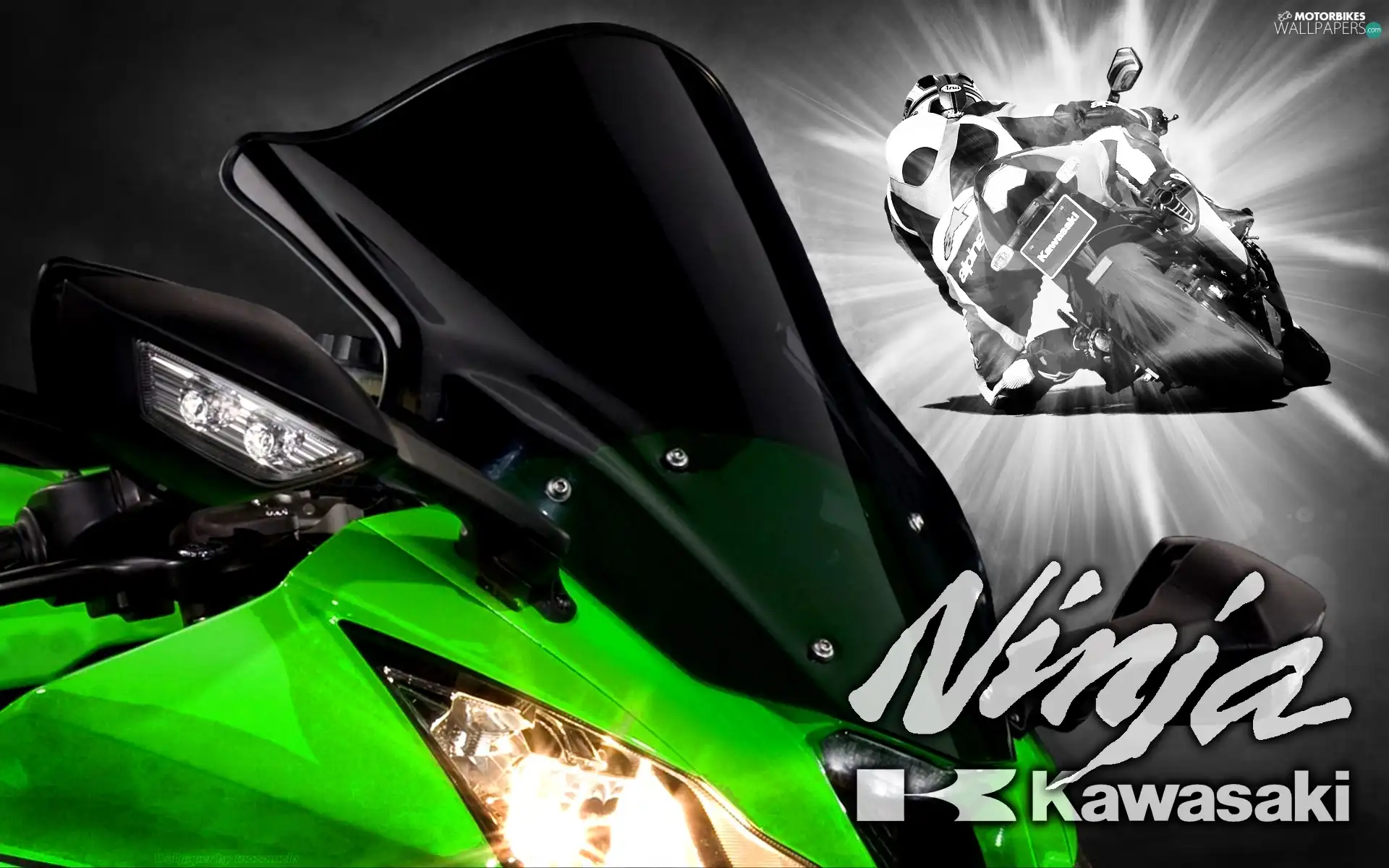 Becks - motorbike, Motorcyclist, motor-bike, Green, Kawasaki ZX-10R Ninja