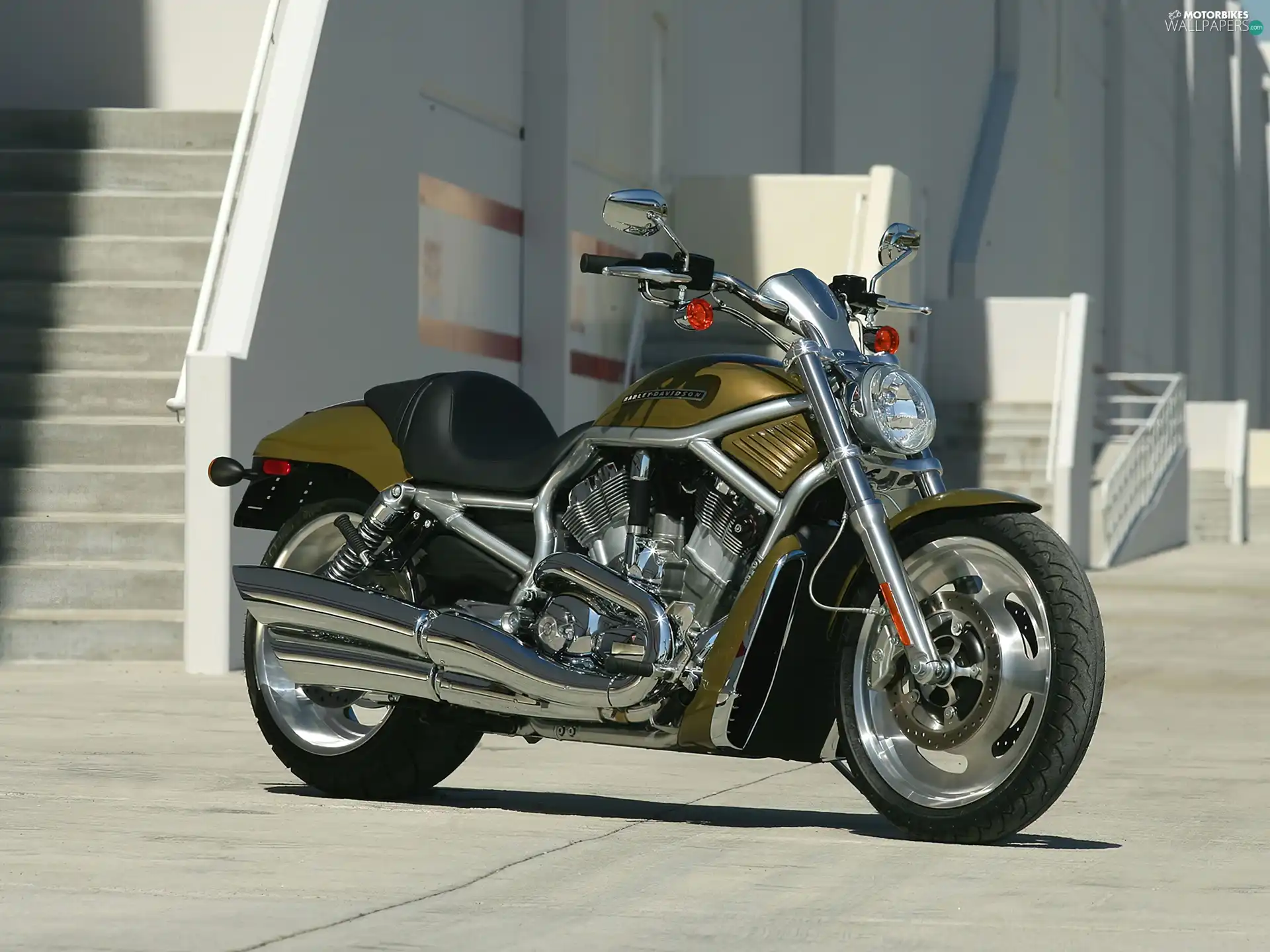 olive, Harley Davidson V-Rod