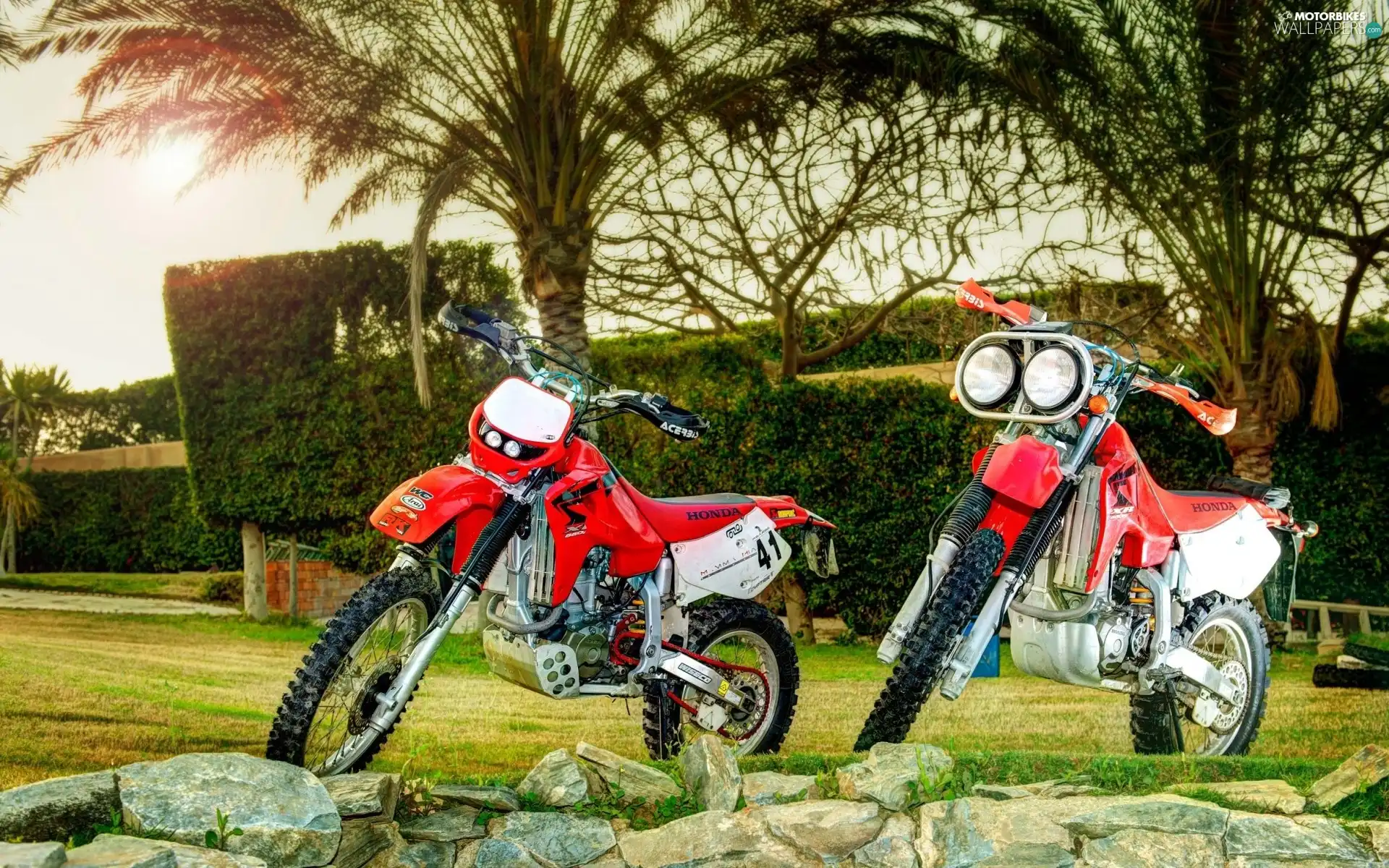Palms, Stones, Motorcycles, Honda XR, Two cars