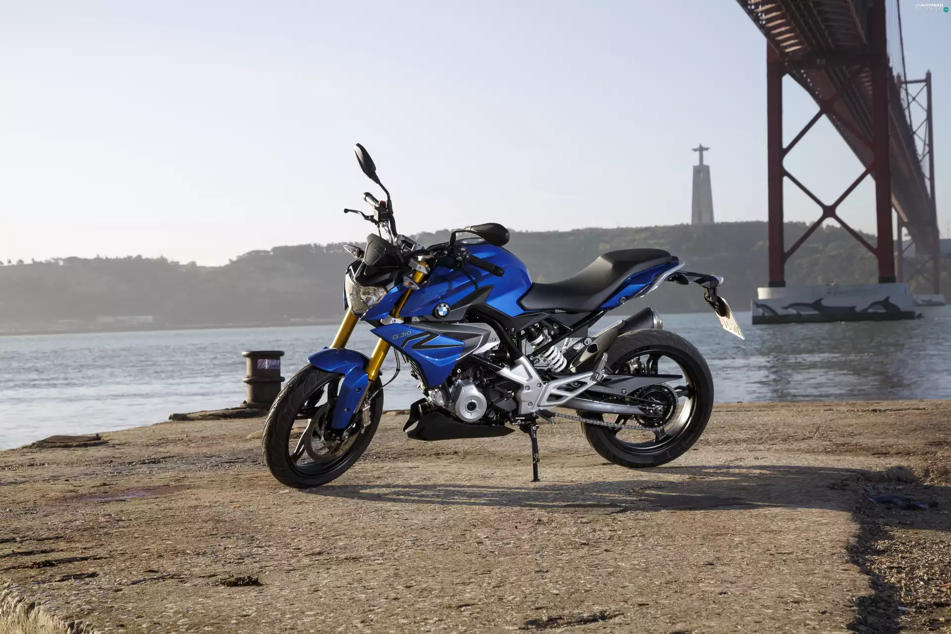 blue, BMW G 310 R, 2016, motor-bike