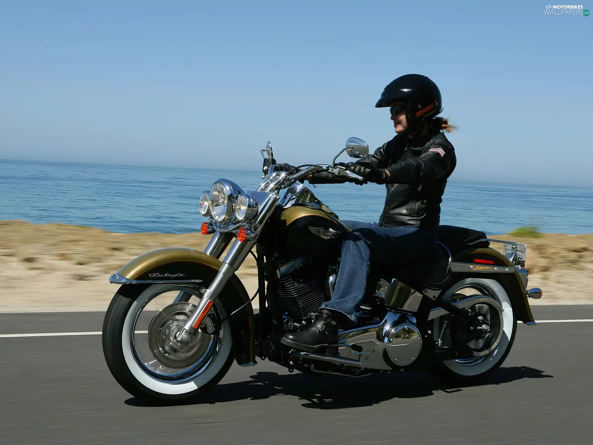Harley Davidson Softail Fat Boy, biker