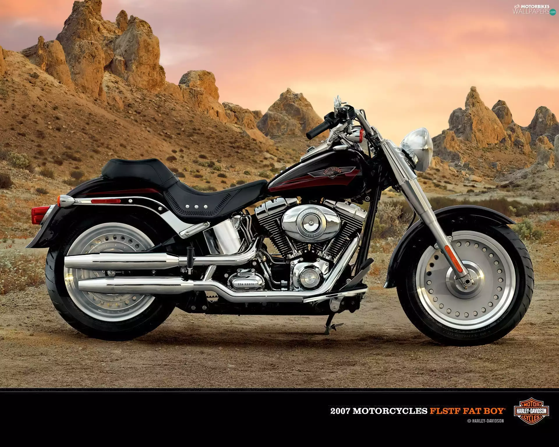 Harley Davidson Fat Boy, commercial