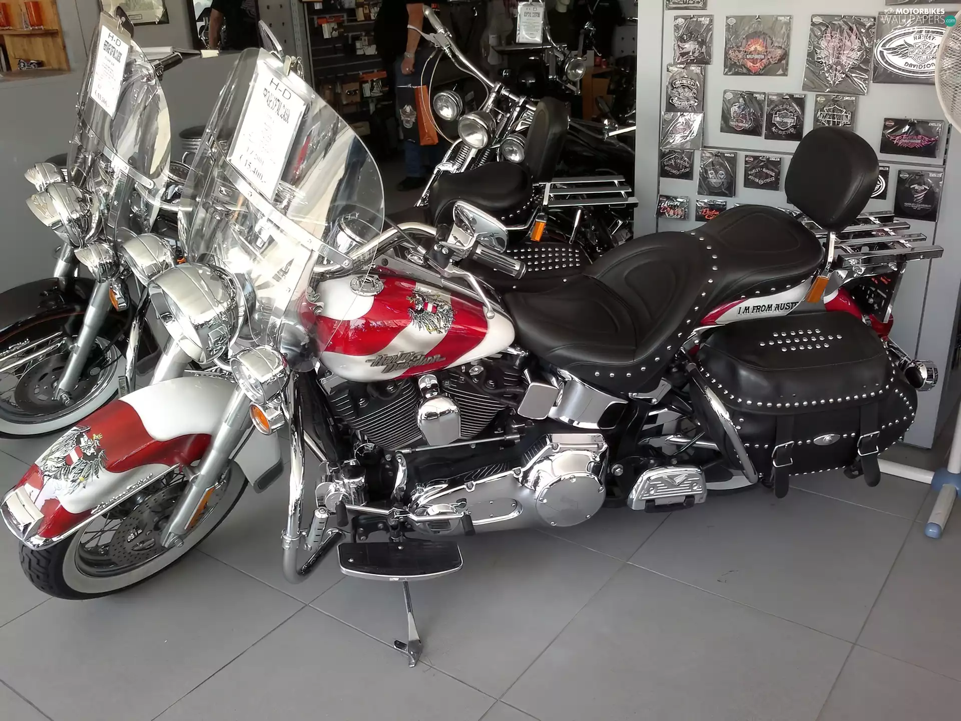 motor-bike, Harley-Davidson