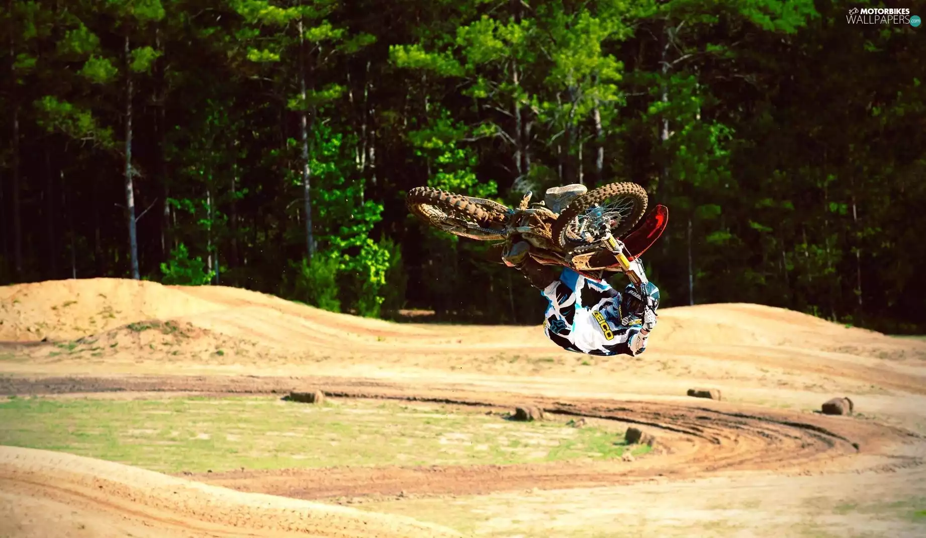 forest, Motorbike, evolution