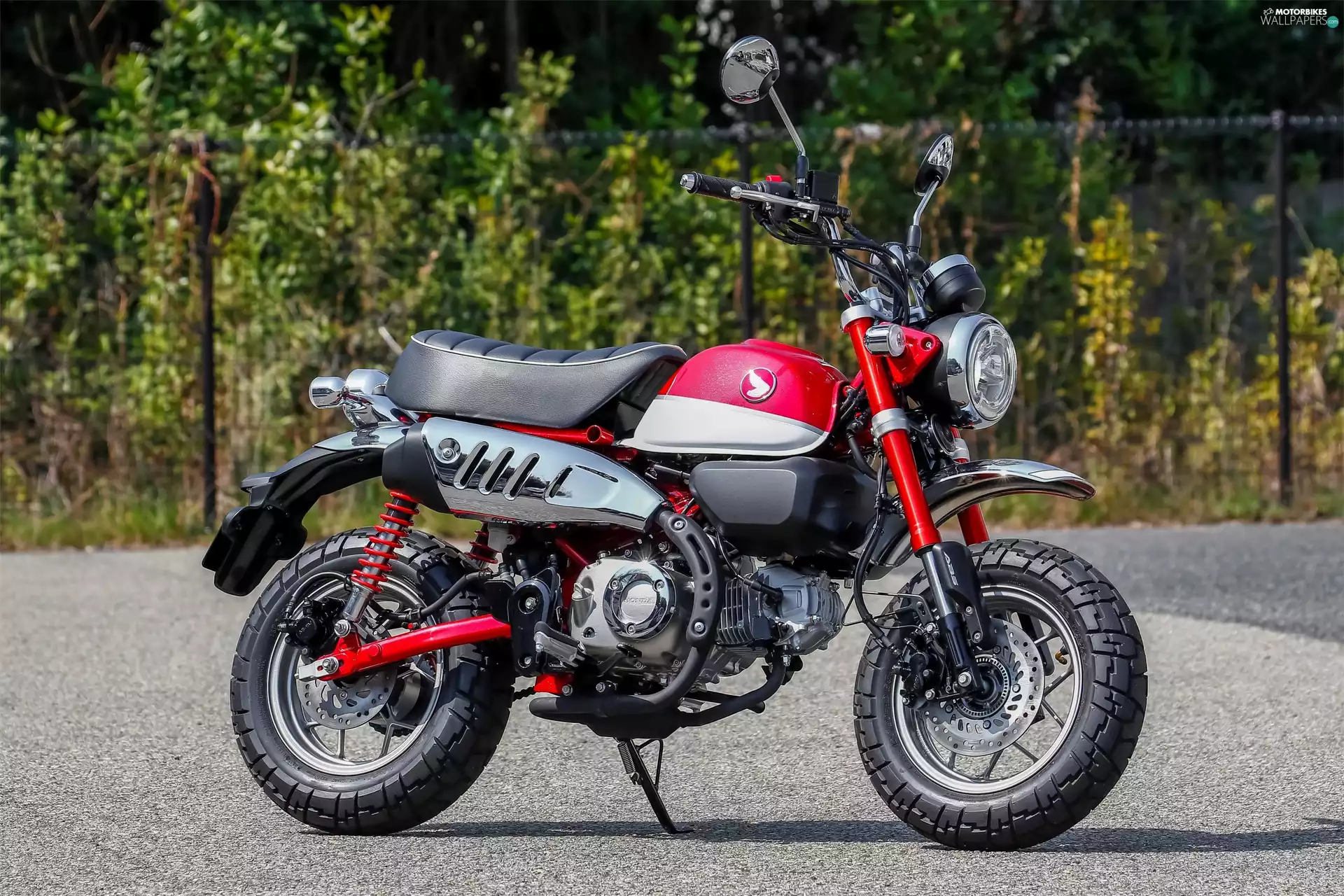 2018, motor-bike, Honda Monkey 125