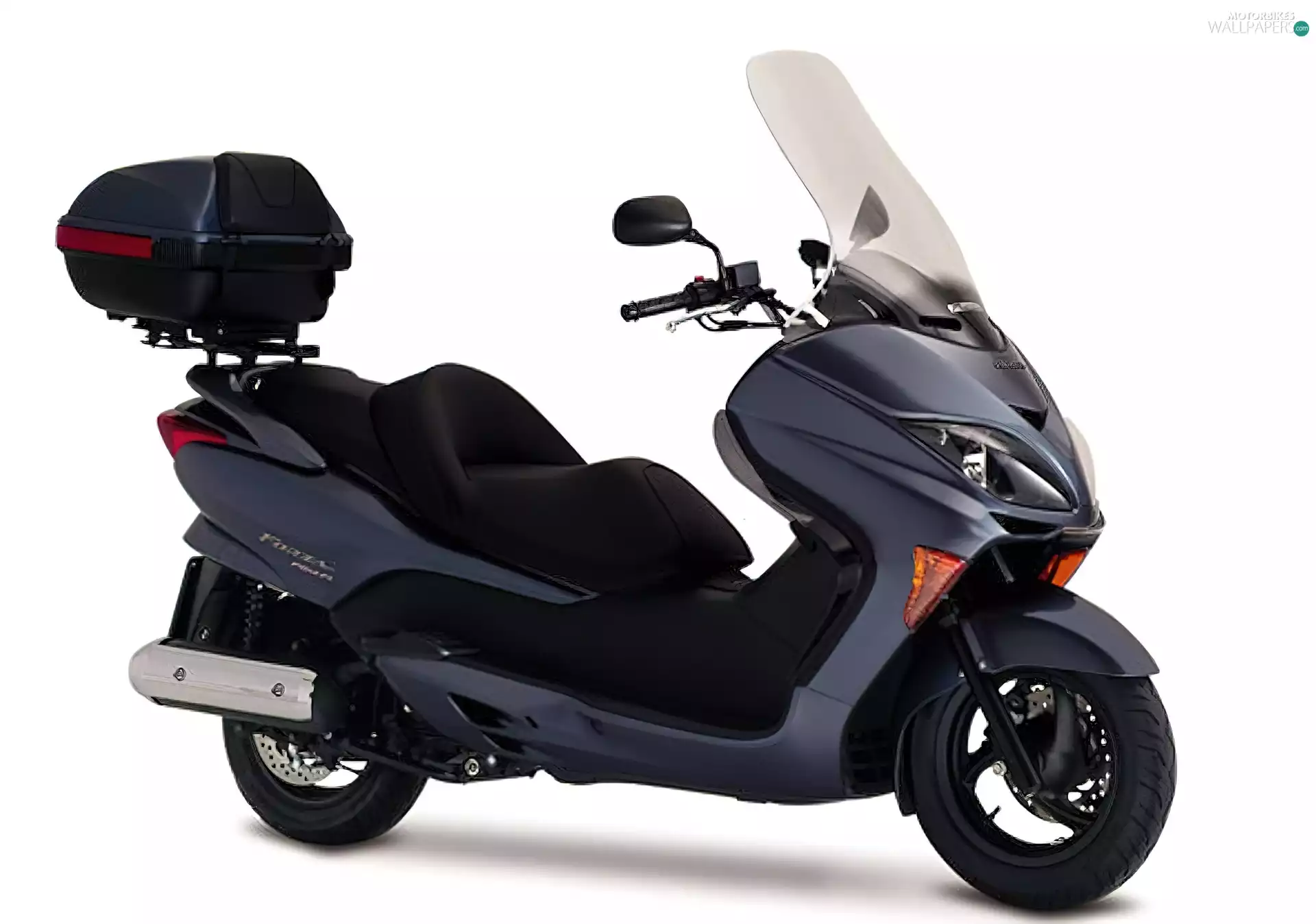 Honda Motor, scooter