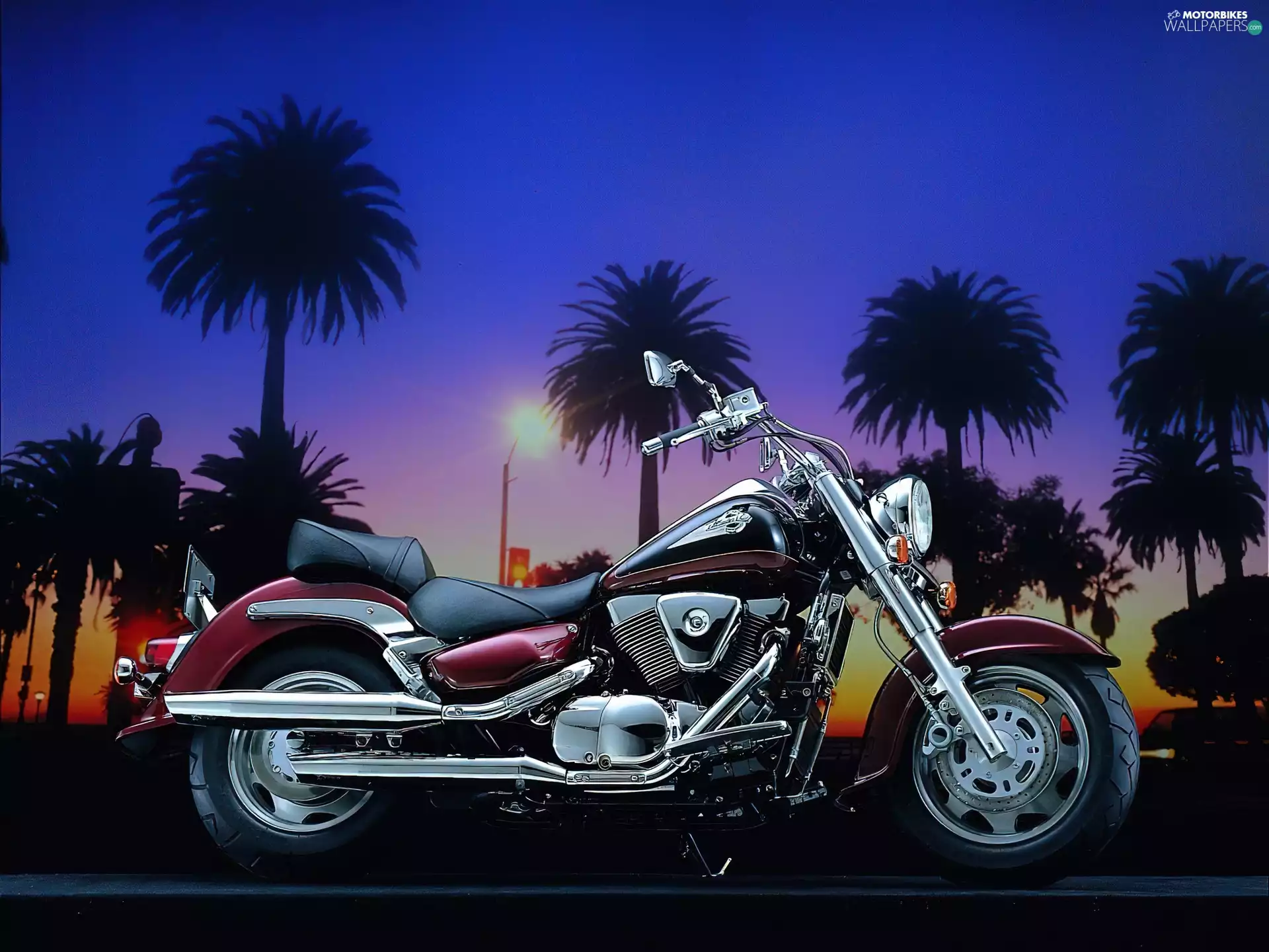 Palms, Suzuki Intruder