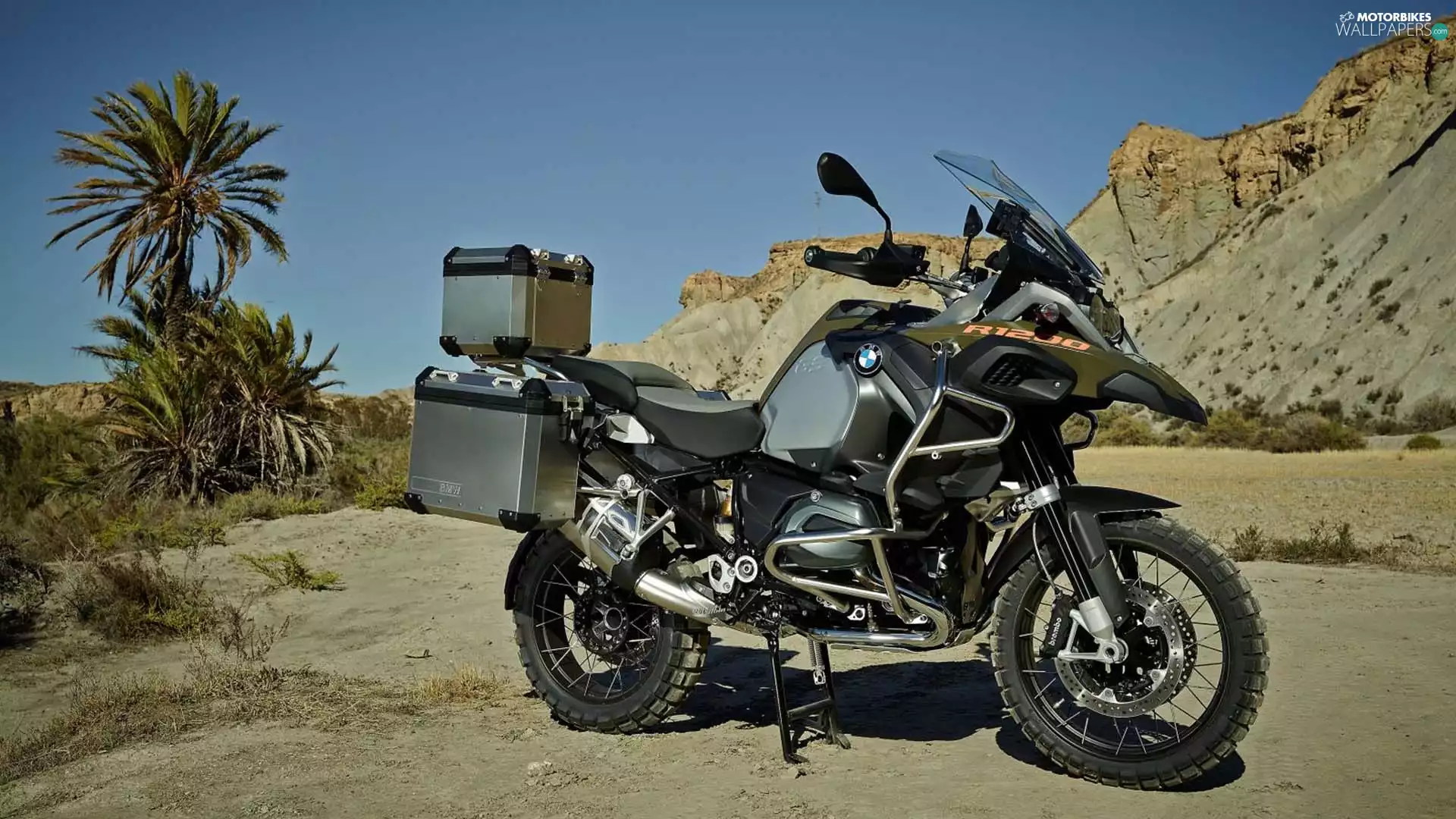 motor-bike, trunks, Palms, BMW R1200GS