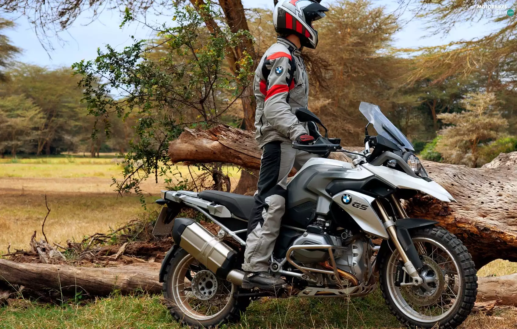 trees, viewes, BMW R1200GS, Motorcyclist, motor-bike