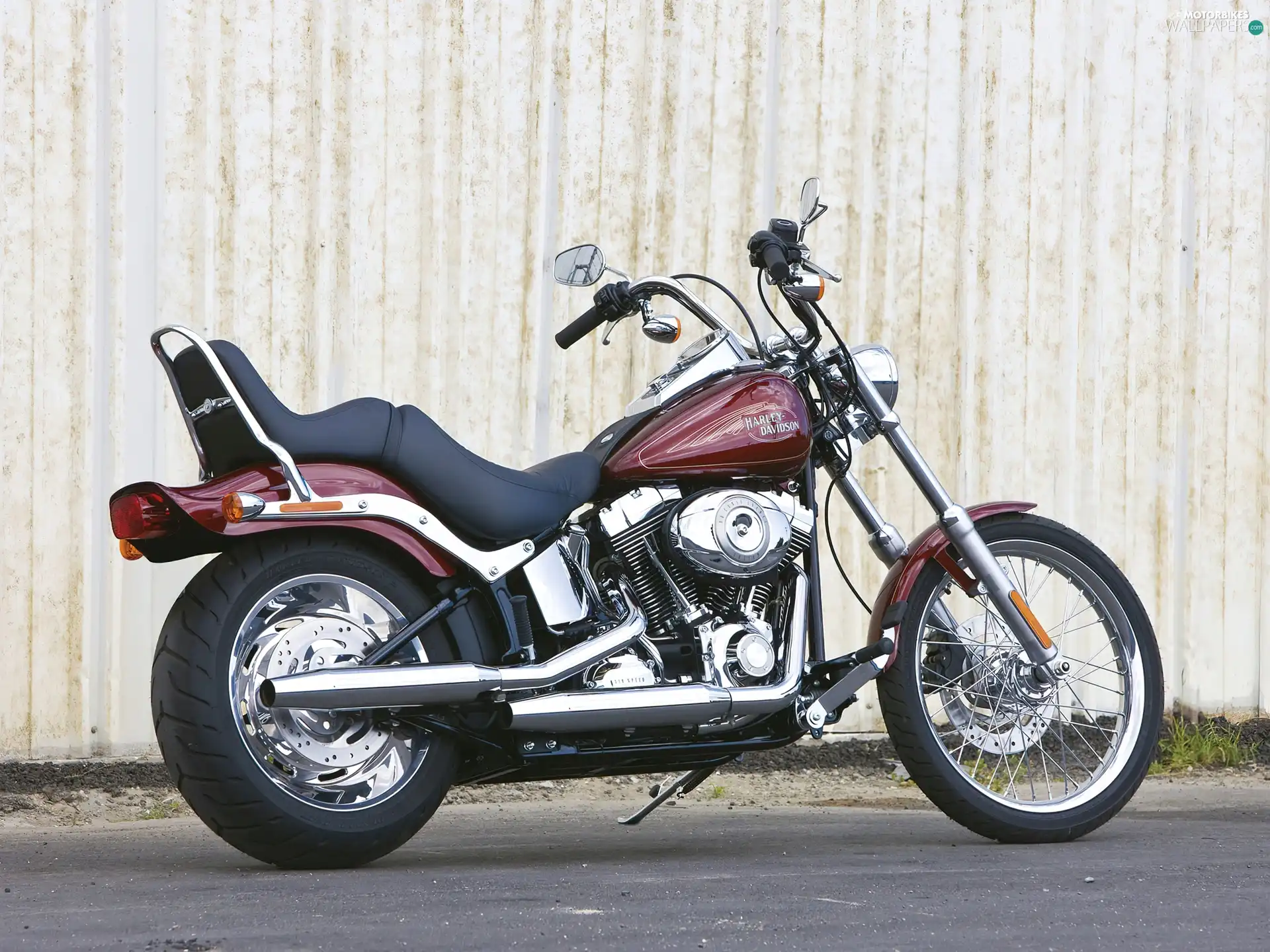 Lamp, Harley Davidson Softail Custom, Rear