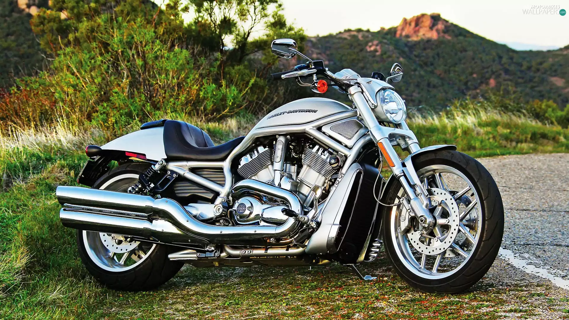 Harley-Davidson, V-Rod