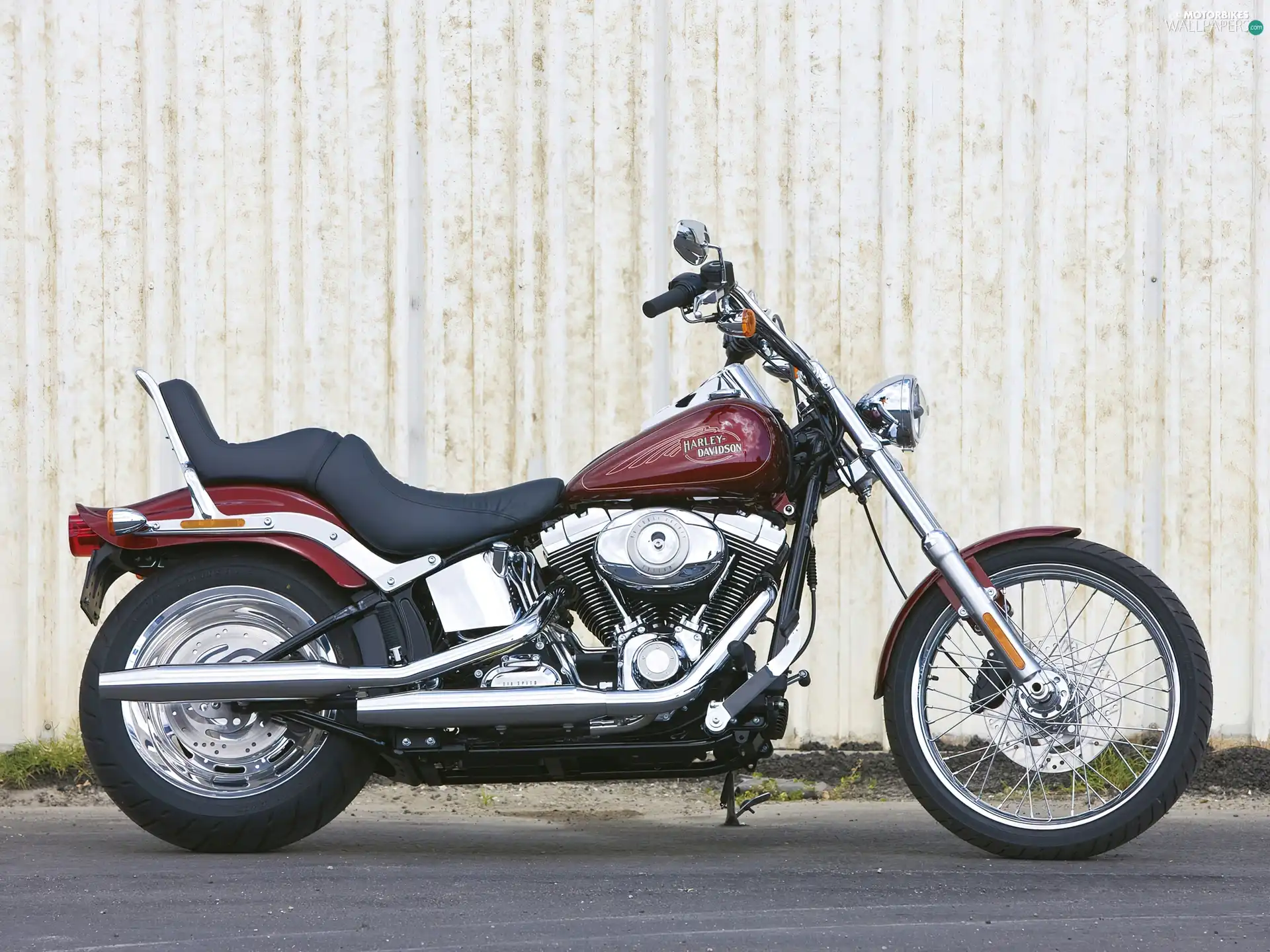 support, Harley Davidson Softail Custom, sitting