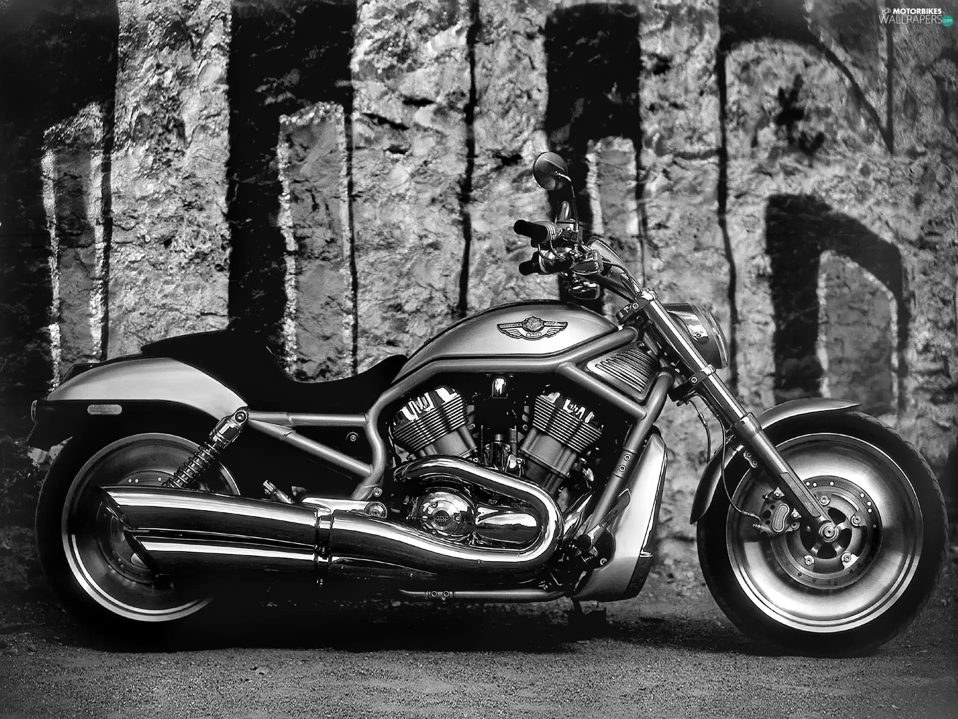silver, Harley-Davidson VRSC V-Rod