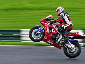 Becks - motorbike, player