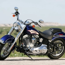 driving, Harley Davidson Softail, belt