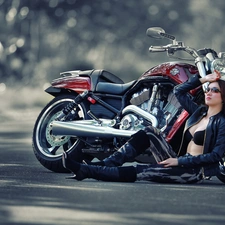 Harley, Beauty, brunette, Davidson