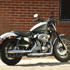 tubing, Harley Davidson XL1200N, Chrome