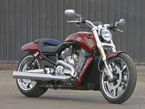 Front, Harley Davidson V-Rod Muscle, shacks