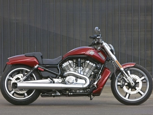 Harley Davidson V-Rod Muscle, right, side