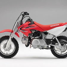 Honda CRF50F