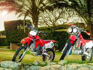 Palms, Stones, Motorcycles, Honda XR, Two cars