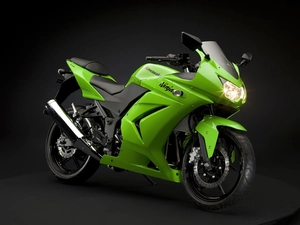 green ones, Kawasaki Ninja 250R