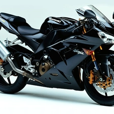 Kawasaki Ninja ZX-10R