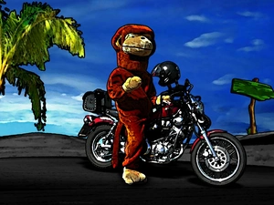 Monkey, on a motorcycle