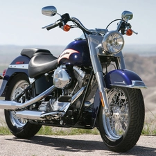wheel, Harley Davidson Softail, spoke
