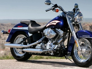 Harley Davidson Softail, spotlight