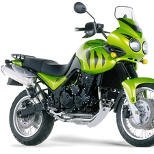 Glass, Green, Triumph Tiger 955i